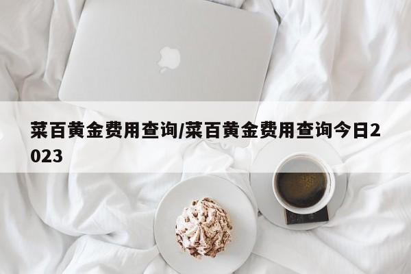 菜百黄金费用查询/菜百黄金费用查询今日2023
