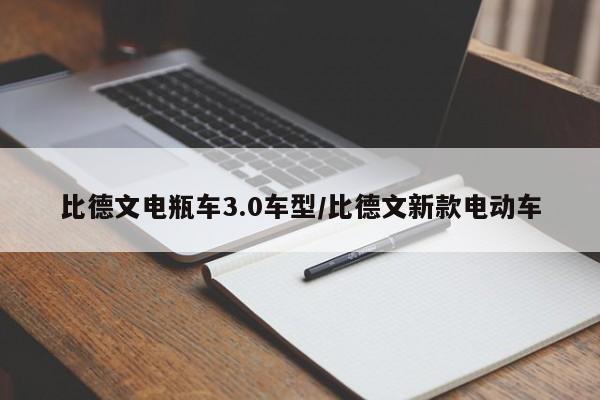 比德文电瓶车3.0车型/比德文新款电动车