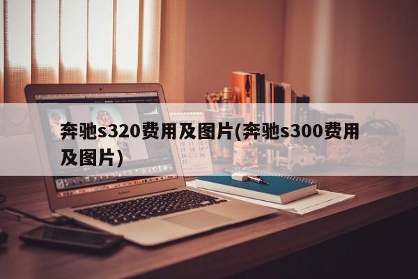 奔驰s320费用及图片(奔驰s300费用及图片)